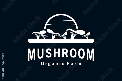 Nature oyster mushroom logo vector illustration design