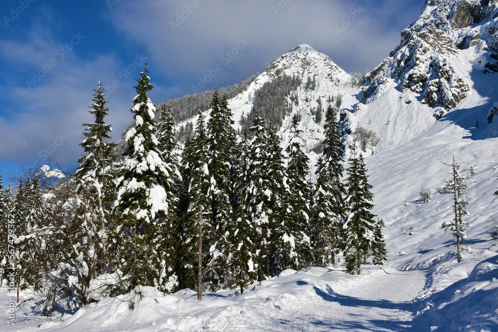 View of Visoka Pec mountain and landscape bellow in Tamar valley in Gorenjska, Slovenia with spruce (Picea abies) forest