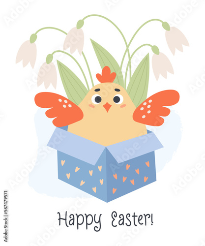 Cute chicken in gift box with bouquet of spring flowers snowdrops. Happy Easter greeting card. Vector illustration in cartoon flat style.