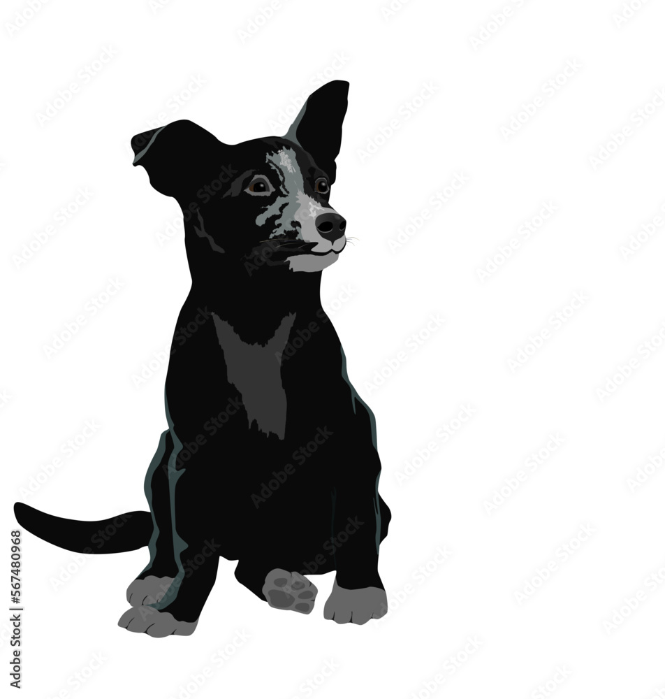 Cute black puppy sitting on the ground, isolated vector picture without background