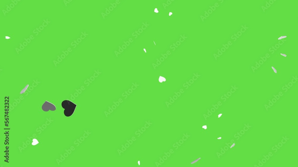 Explosion of white hearts on green screen. Heart confetti. Festive effect for Valentine's Day. 3D animation