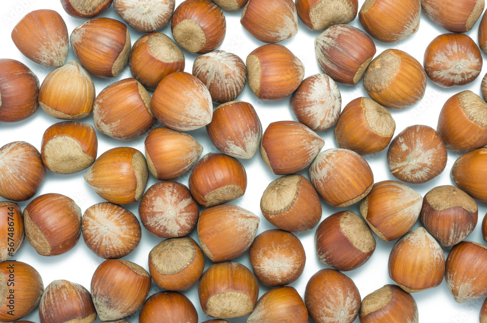 hazelnuts isolated on white background hazelnuts isolated on white background