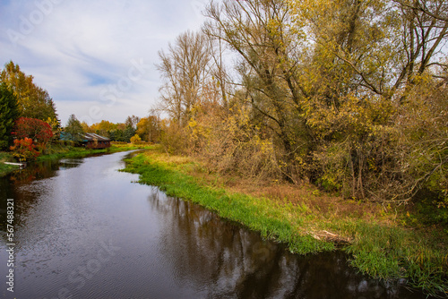 River and trees hanging over the water on a clear autumn day. Water.