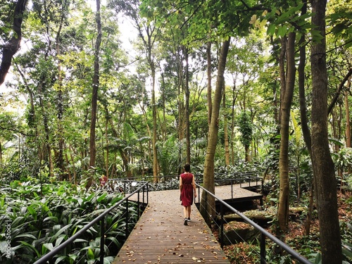 walk in the woods