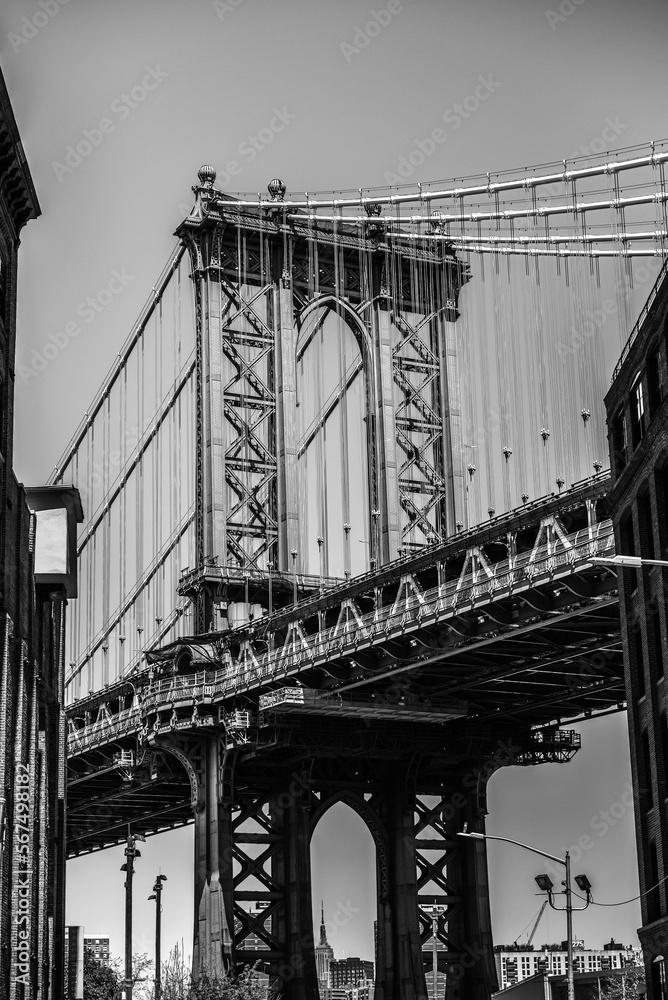 Fototapeta premium brooklyn bridge