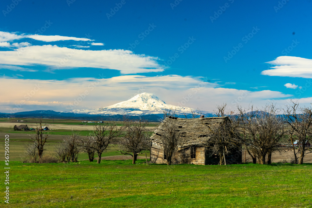 Mount Adams behind abandoned barn, Eastern Washington