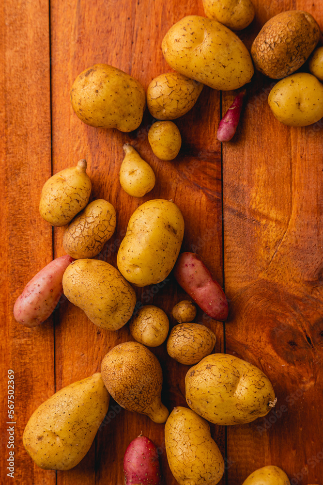 Local potatoes on rustic wooden background Local potatoes on rustic wooden background