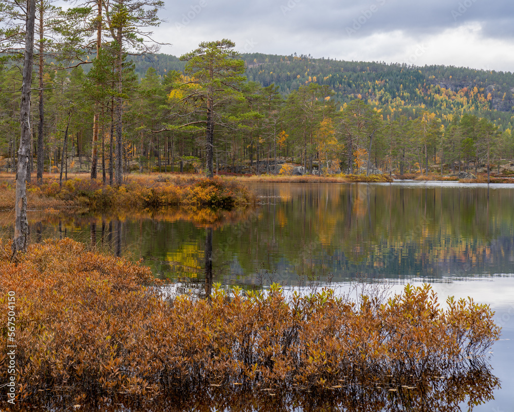 Autumn at Damvatn lake near Gransherad, Telemark county, Norway