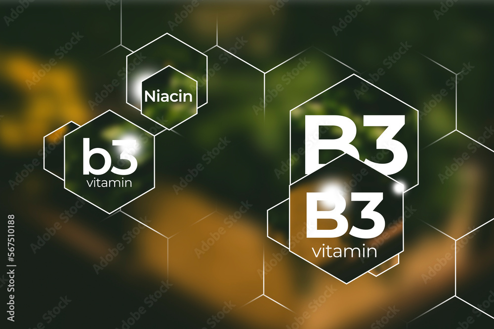 Molecular model of vitamin B3, Niacin. Hexagons with Vitamin B3 name