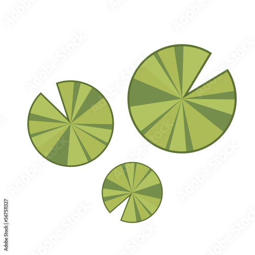 Lily pad icon. Lily cartoon vector on white background.