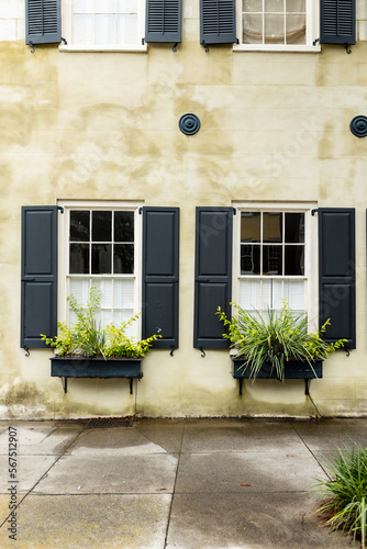 Greenery in Windowboxes with Black Shutters on Green Building