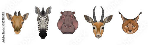 African Animal Muzzle Isolated on White Background Vector Set