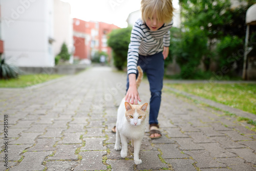 Photography Little boy is petting of wild cats on the streets of small town