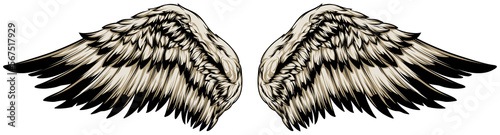 Bird wings vector illustration tattoo style. Hand drawn design element.