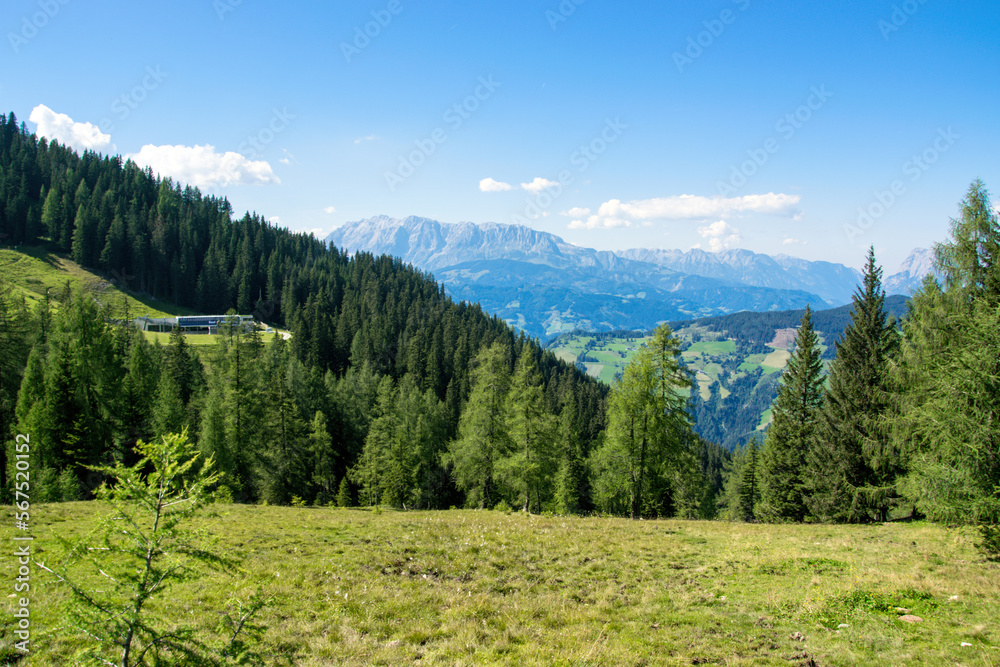 Panorama of Austrian Alps with forest and green meadow. Grafenberg Hill, Wagrain. Panorama of Austrian Alps with forest and green meadow. Grafenberg Hill, Wagrain.