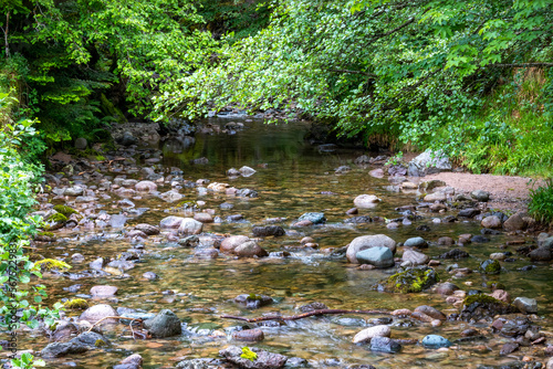 Au bord des petites rivières