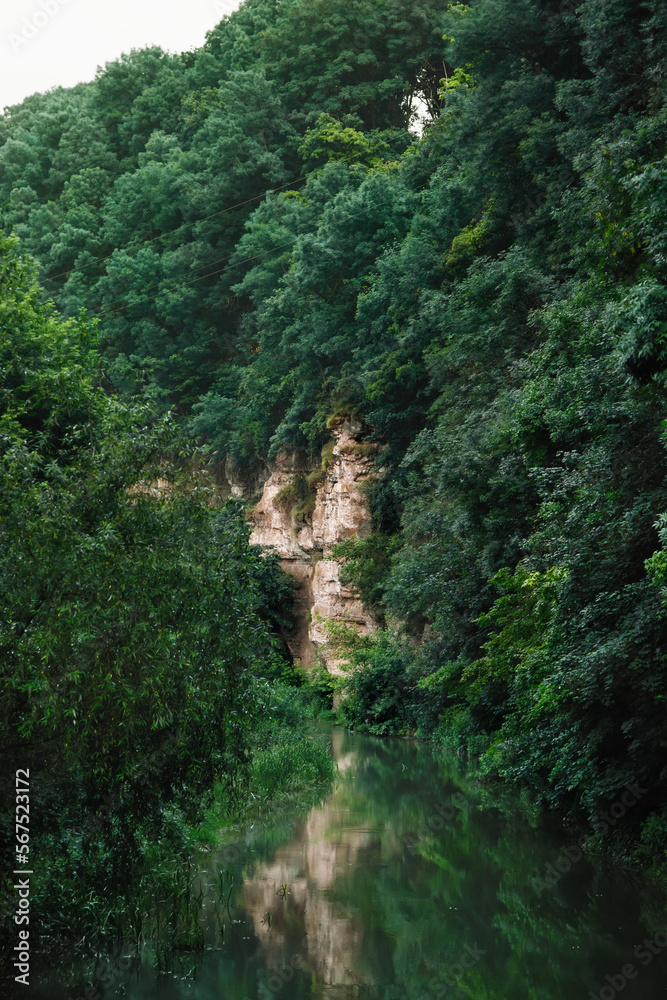 Amazing landscape of rocky wall, lush greenery and river in Dnistrovsky canyon (Ukraine) in summer, cozy scenery of ancient stones with reflection on water, popular place for tourism and climbers