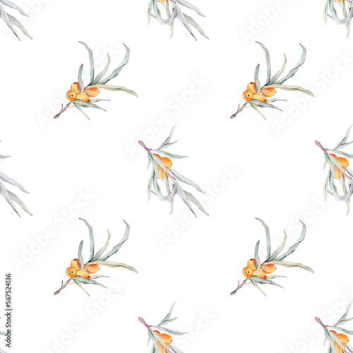 Pattern with orange sea buckthorn. Sea buckthorn for healthy life and design background. Hand painted. Botanical natural. Seamless pattern, an illustration for postcards, posters, textile design. © Ekatmart