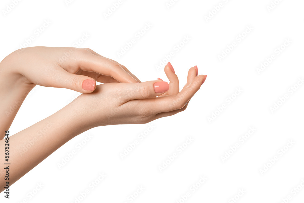 Beautiful, well-groomed female hands with a manicure on a white background, isolate.