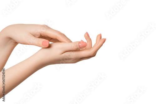 Beautiful, well-groomed female hands with a manicure on a white background, isolate.