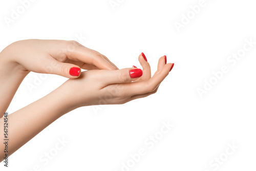 Fototapeta Beautiful, well-groomed female hands with a manicure on a white background, isolate