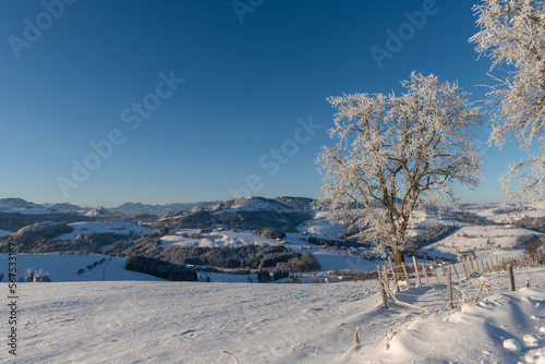 Winterlandschaft im Mostviertel, Niederösterreich