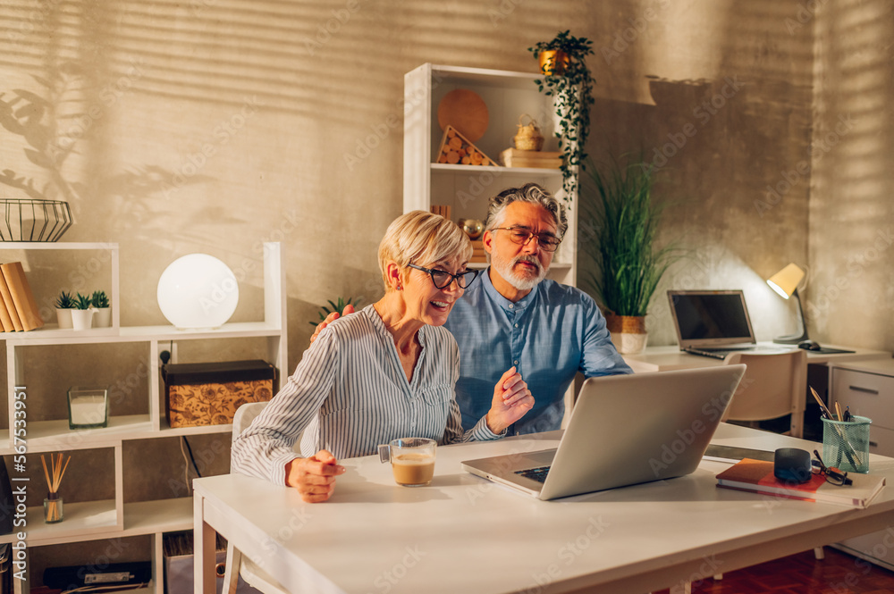 Senior couple using a laptop at home Senior couple using a laptop at home