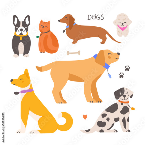 Set of various breed dogs and a cat. Hand drawn cartoon animals vector illustration. 