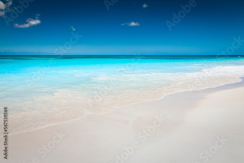 Tropical paradise  sand beach in caribbean Saona Island  Punta Cana  Dominican