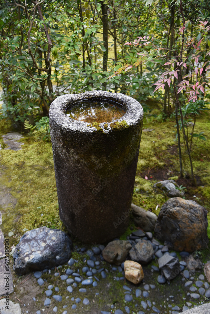 妙心寺 桂春院の手水鉢 京都市右京区花園 妙心寺 桂春院の手水鉢 京都市右京区花園