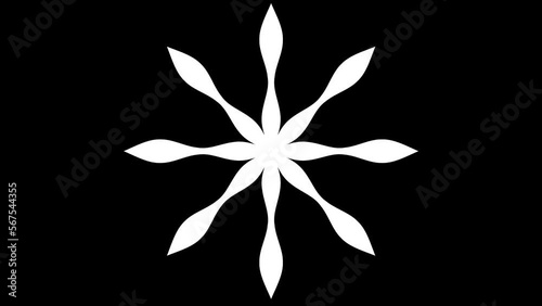 Seamless pattern loop animation, black and white background loop animation. mandala animation.