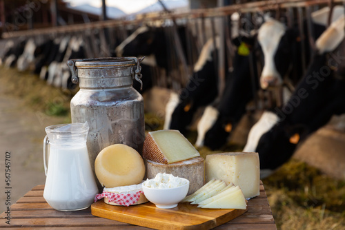 Фотография Various types of fresh natural farm dairy products on table on background of open cowshed