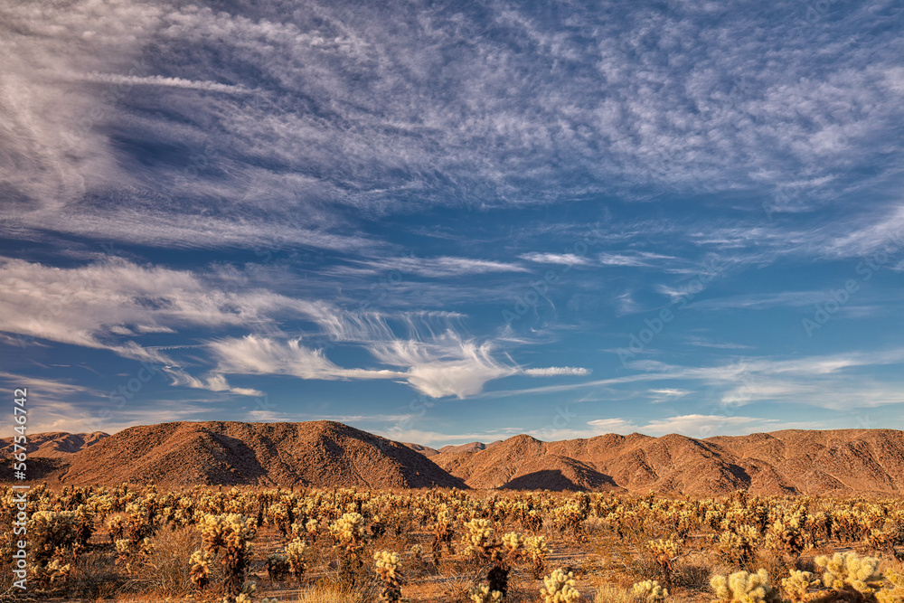 Wispy Clouds Over Desert Landscape