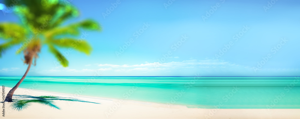 Panorama banner of idyllic tropical beach with blurred palm tree. Views of the ocean from a beach. digital art	