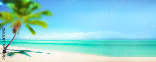 Panorama banner of idyllic tropical beach with blurred palm tree. Views of the ocean from a beach. digital art 