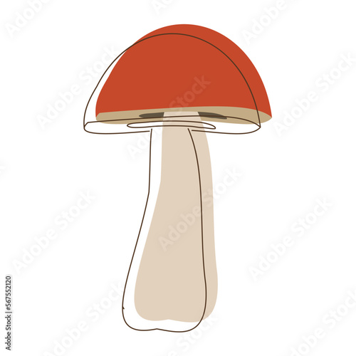 Suillus mushroom lineart. Edible Organic mushrooms. Truffle brown cap. Forest wild mushrooms types.