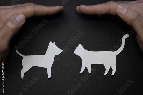 Person protecting pets with his hands. High quality photo