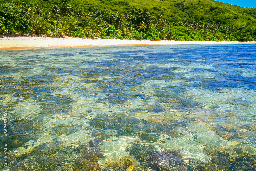 Tropical sandy beach at summer day in Fiji Islands, Pacific ocean