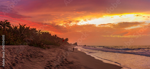 Bild auf Leinwand Playa de Tayrona en atardecer dorado