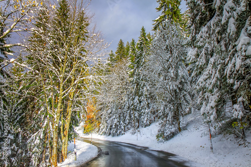 Obraz na płótnie Road in alpine woodland and snowy pine woods in bavarian Alps at autumn, Germany w salonie