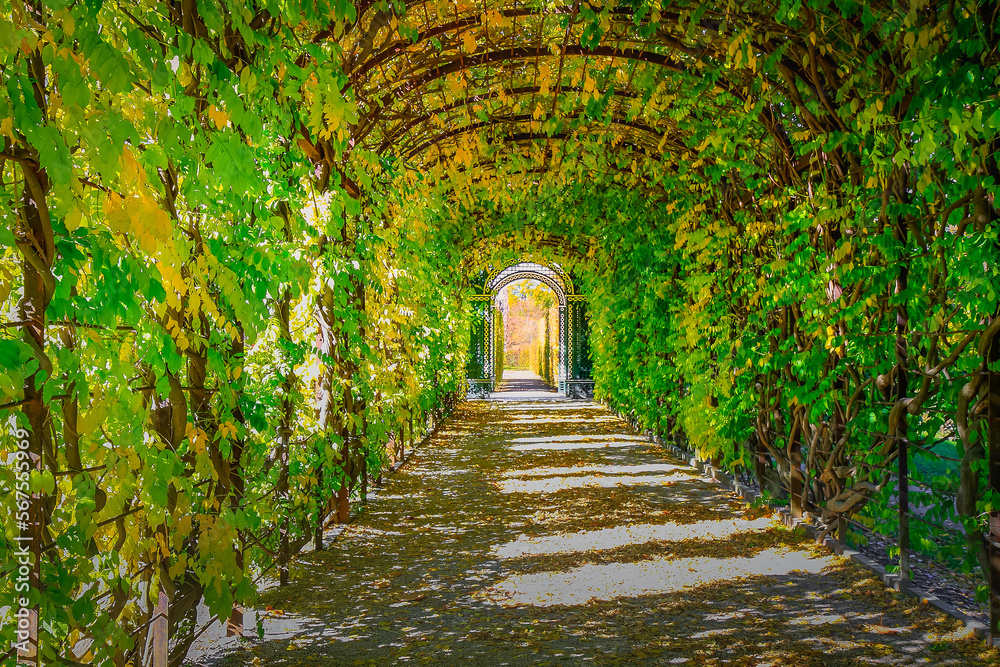 Autumn foliage colors in Vienna public park, Austria