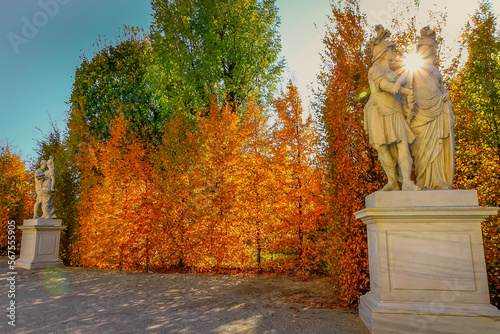 Obraz na płótnie Autumn foliage colors in Vienna public park, Austria w salonie