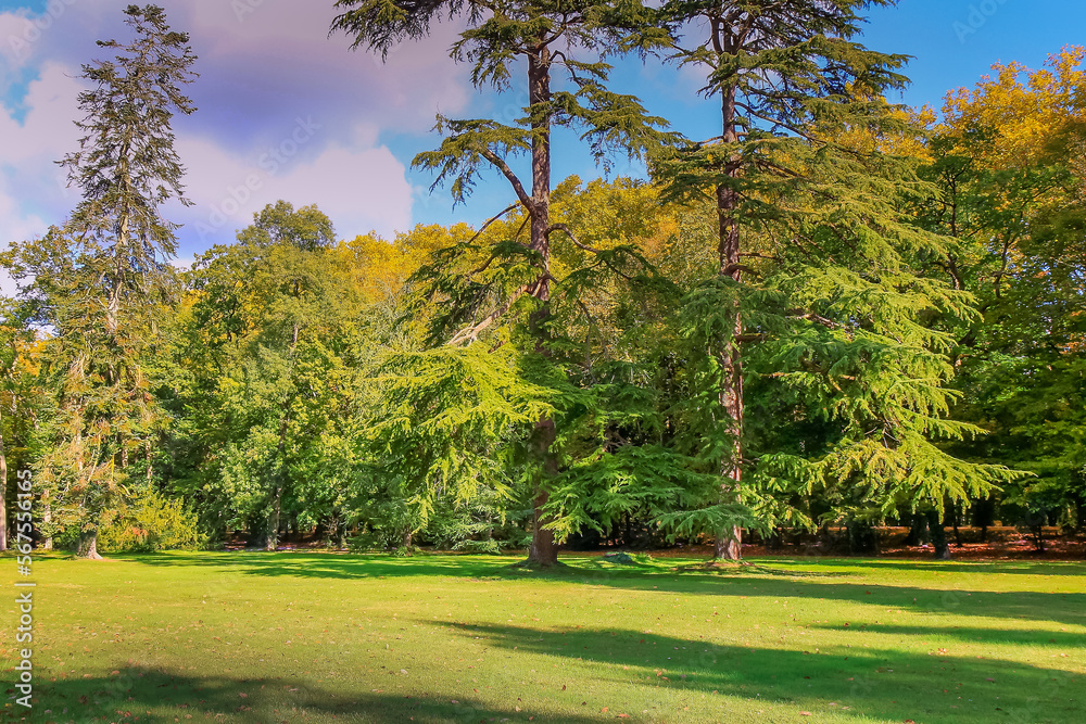 Autumn foliage colors in Loire valley public park with garden, France