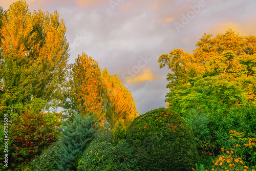 Autumn foliage colors in Loire valley public park with garden, France