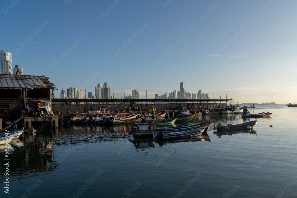 fishing boats in the bay of panama city