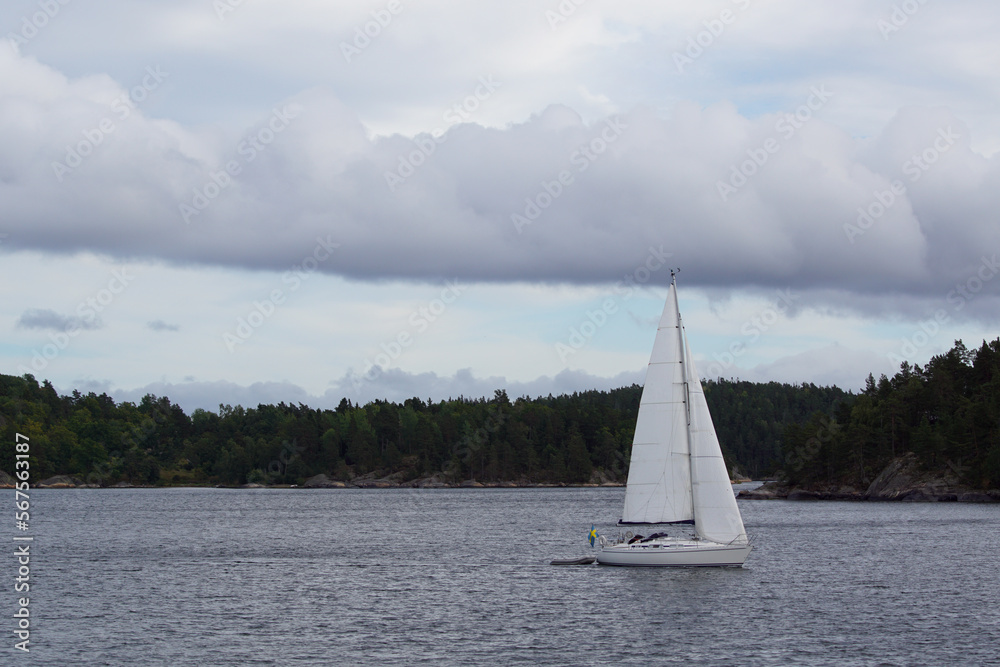 Obraz premium sailing on the lake