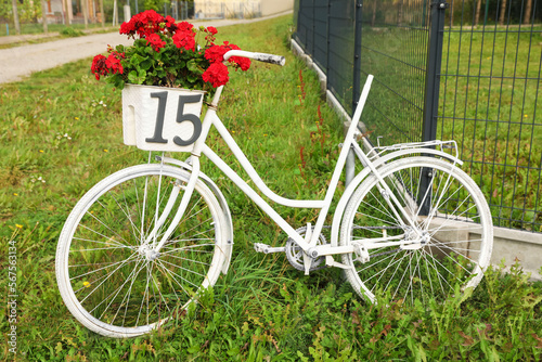 White bicycle with number 15 on basket of flowers outdoors