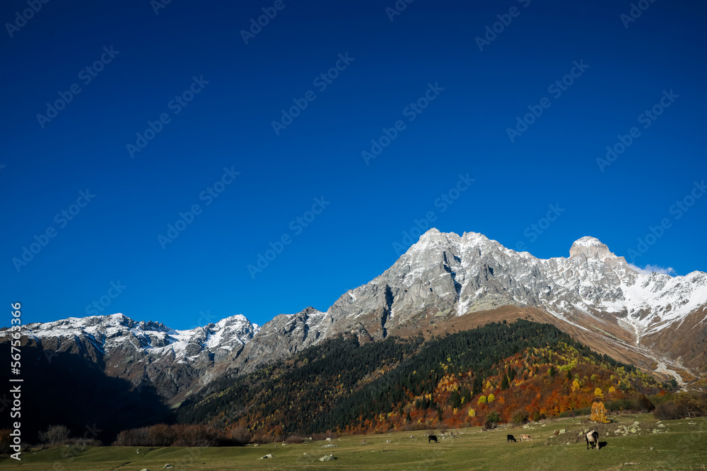 Picturesque view of beautiful high mountains under blue sky on sunny day