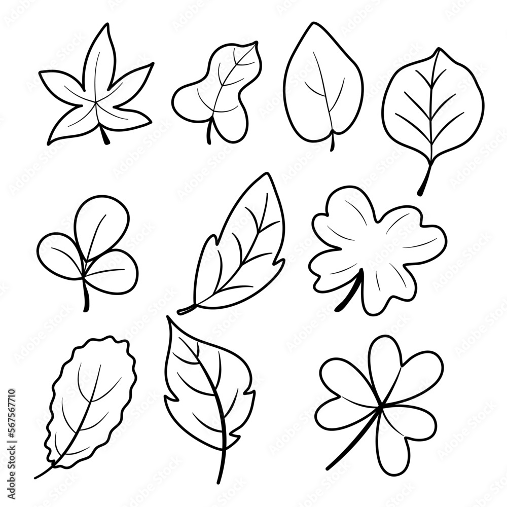 Obraz premium set of leaves doodle