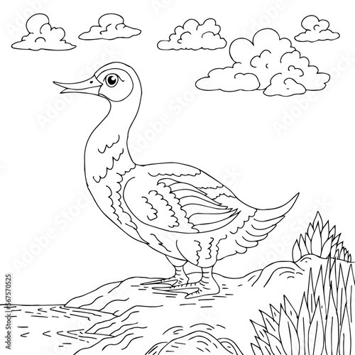 design illustration cute animal coloring page